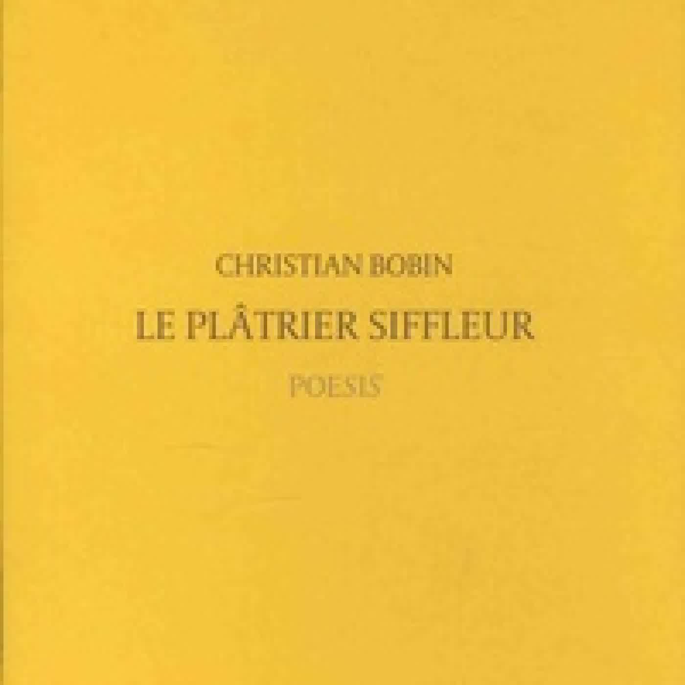 {téléchargement} Le plâtrier siffleur