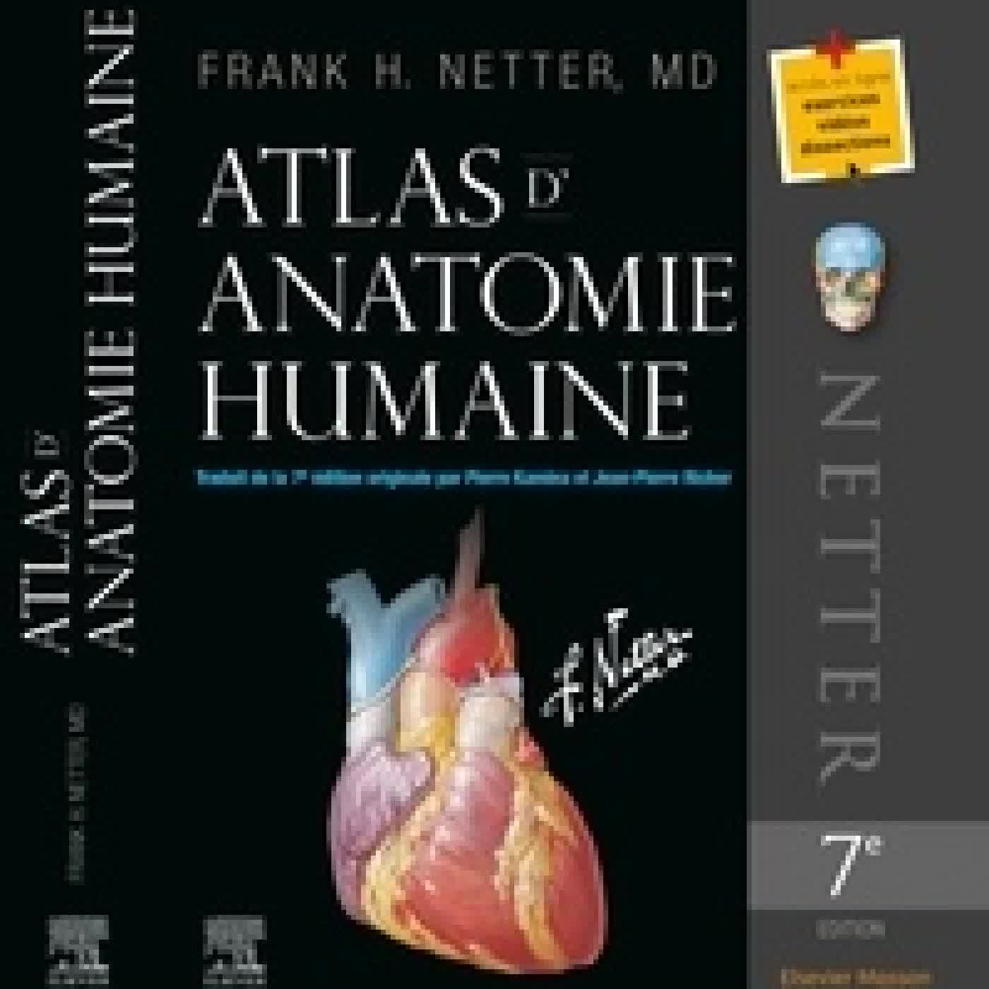 Télécharger Pdf Atlas d'anatomie humaine