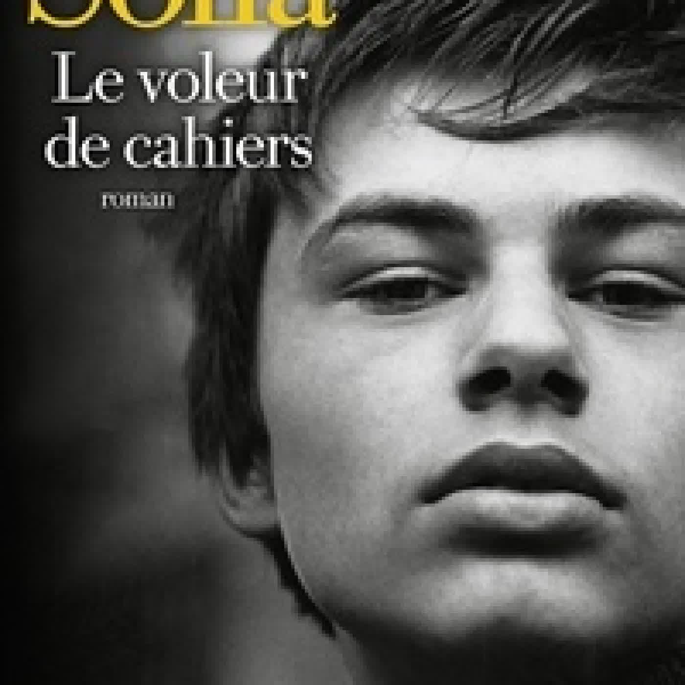 Télécharger Pdf Le voleur de cahiers