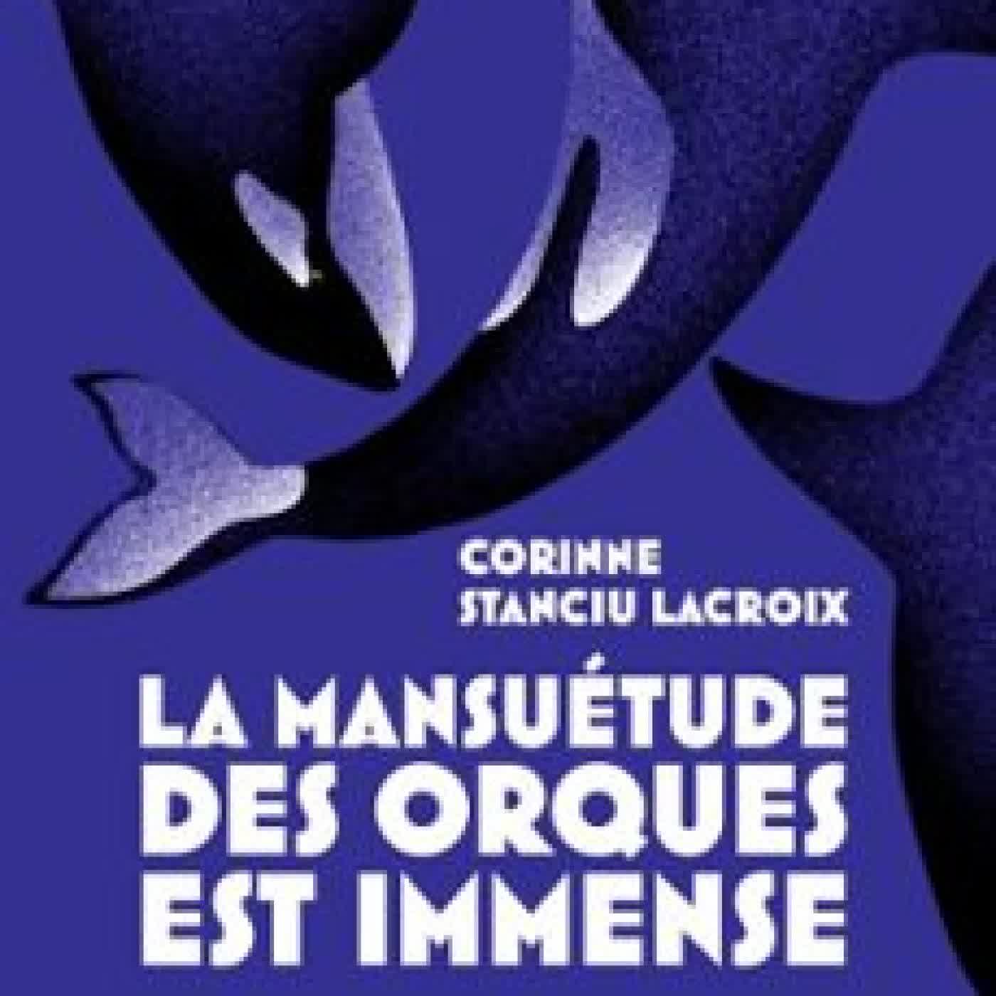 LA MANSUÉTUDE DES ORQUES EST IMMENSE CORINNE STANCIU LACROIX