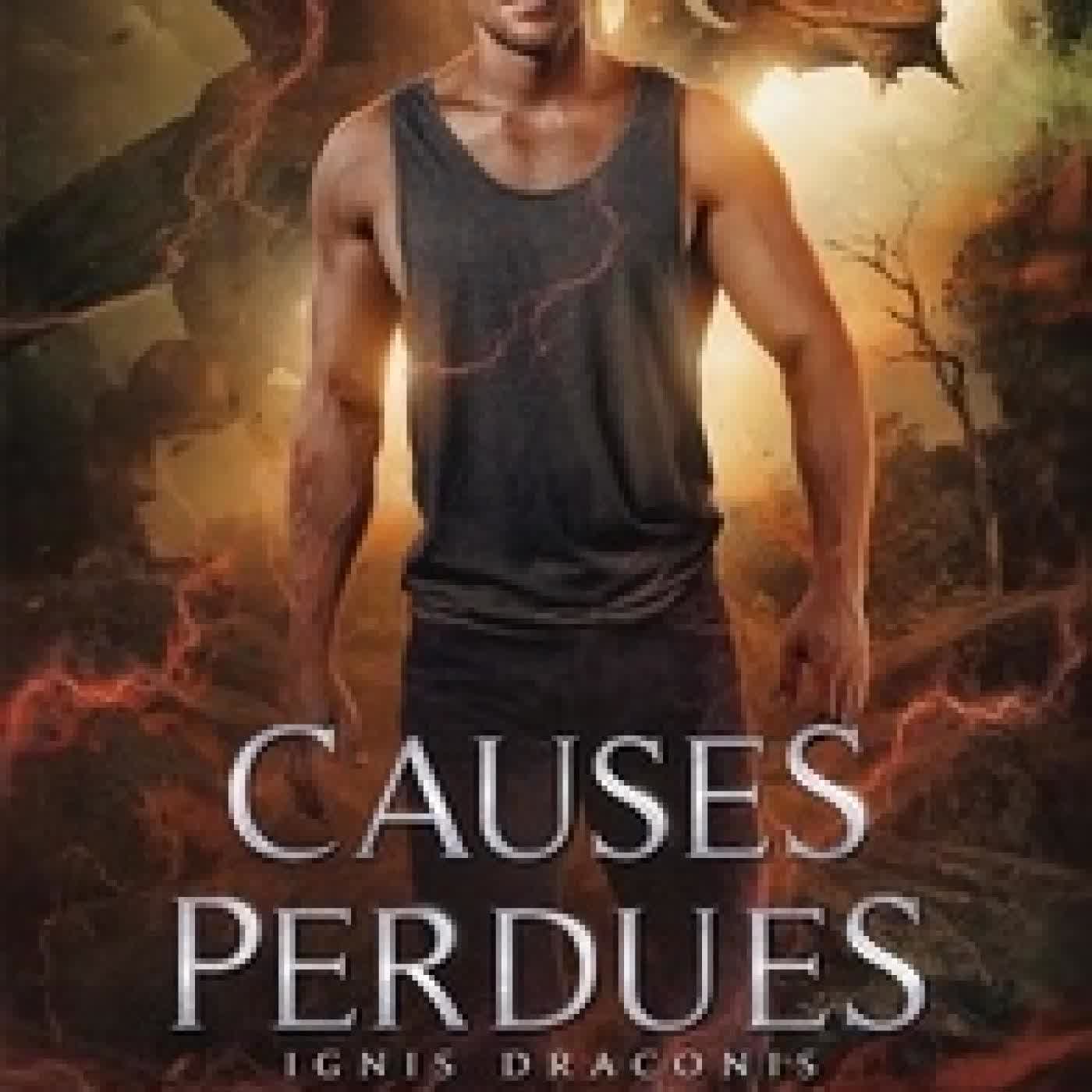 {téléchargement} Ignis Draconis Tome 4