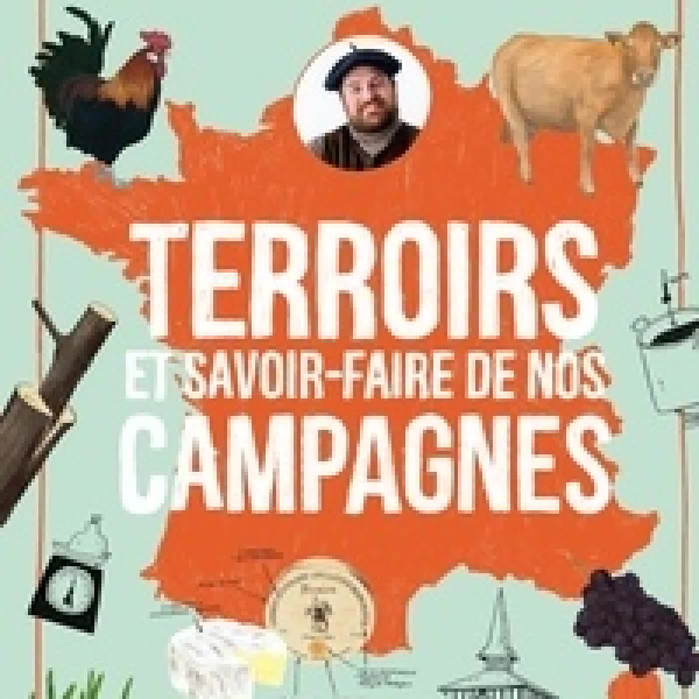 Télécharger Pdf Terroirs et savoir - faire de nos campagnes