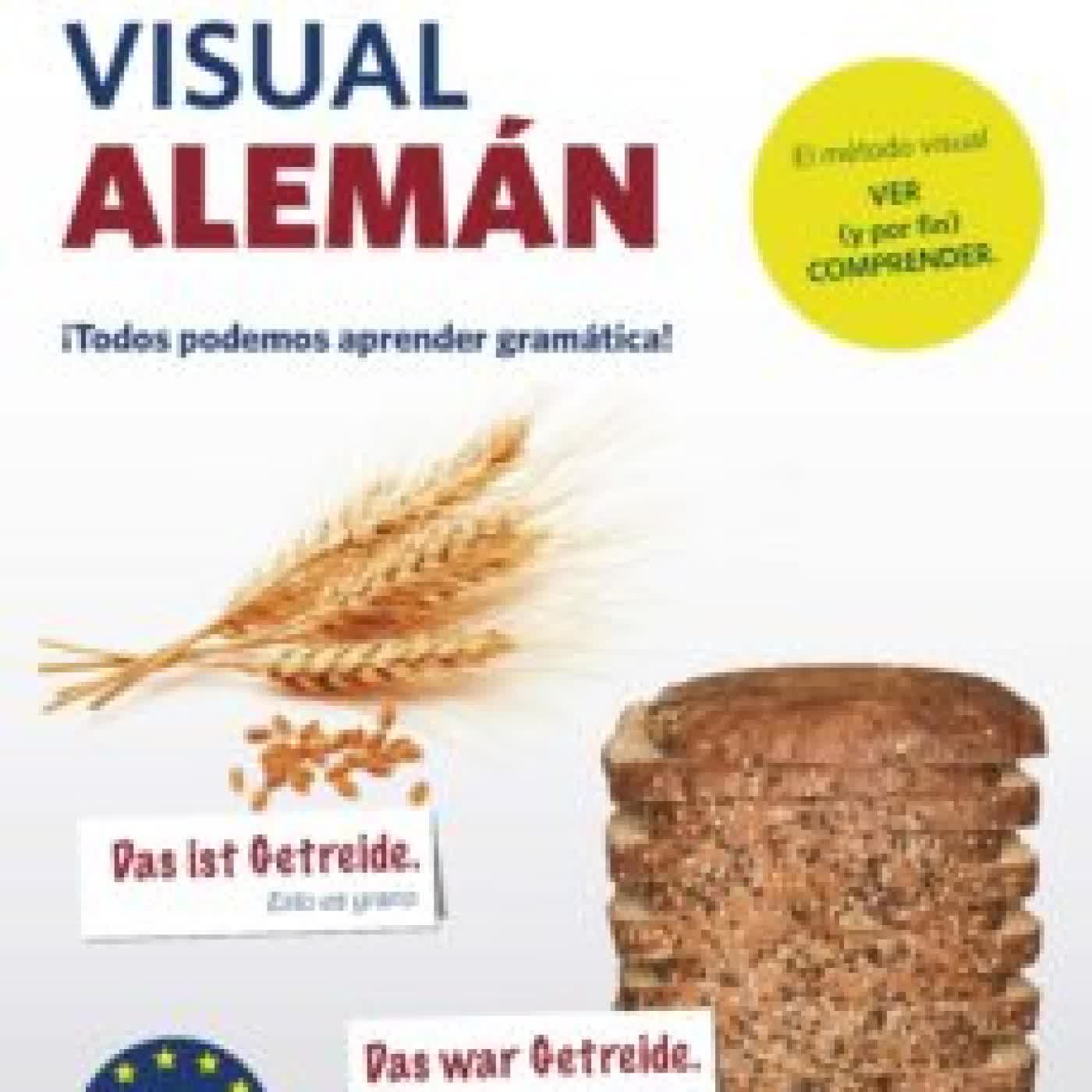 GRAMATICA VISUAL ALEMAN PONS