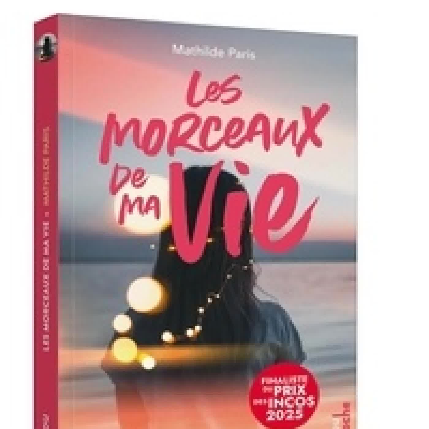 Télécharger Pdf Les morceaux de ma vie