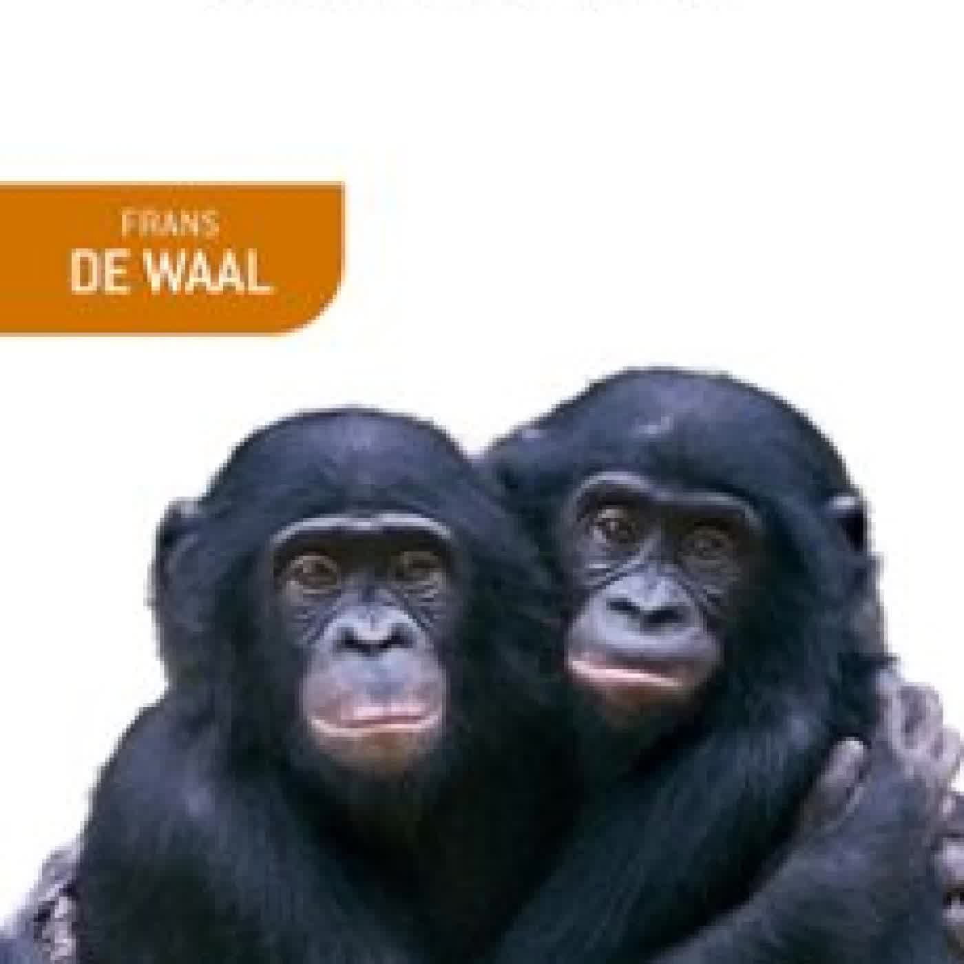 LA EDAD DE LA EMPATIA FRANS DE WAAL