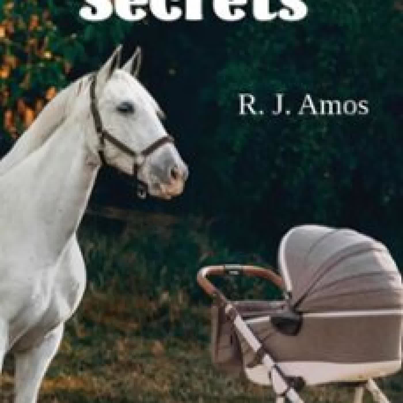 SMALL TOWN SECRETS RJ AMOS