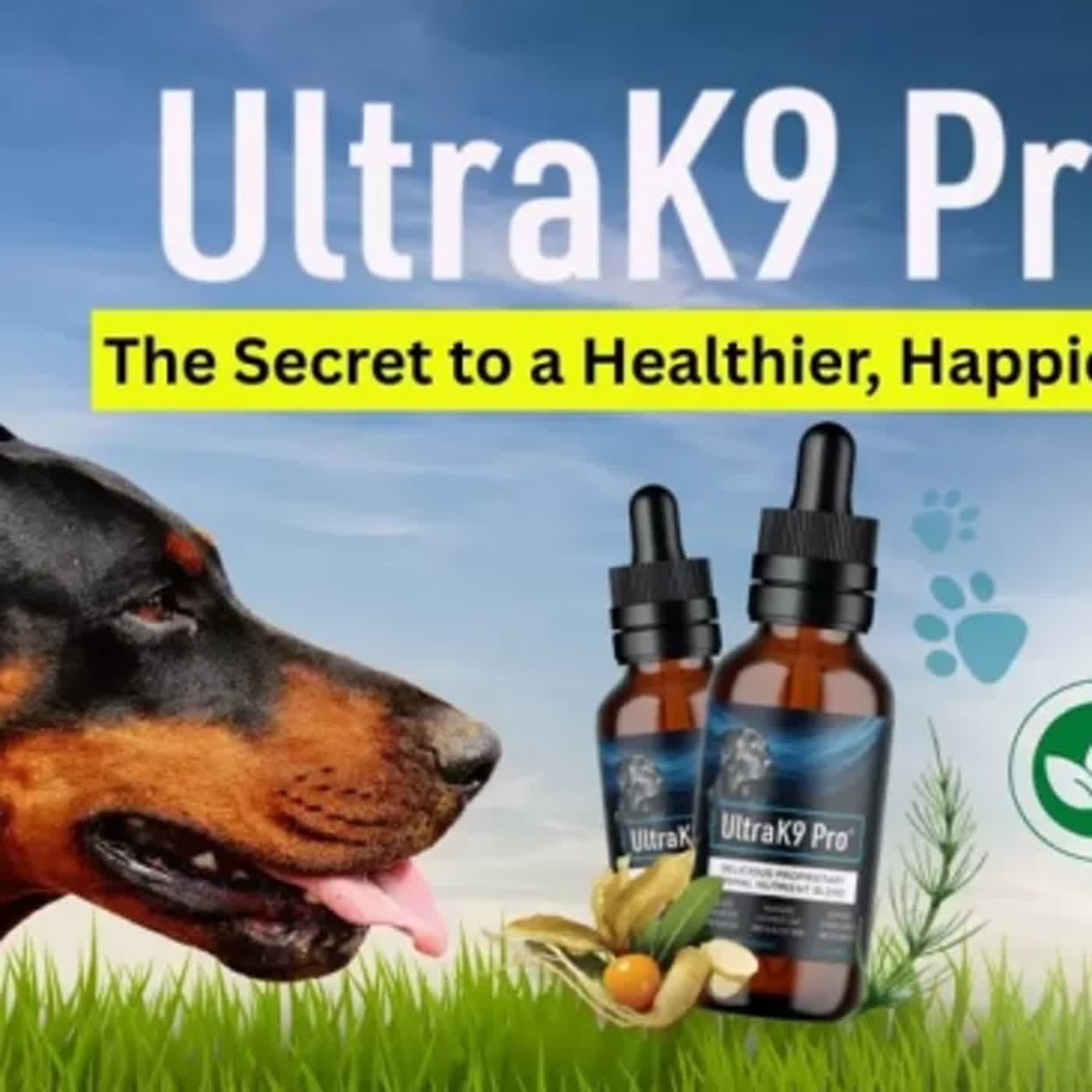 UltraK9 Pro Reviews and Complaints 2026: Scam or Legit Dog Supplement?
