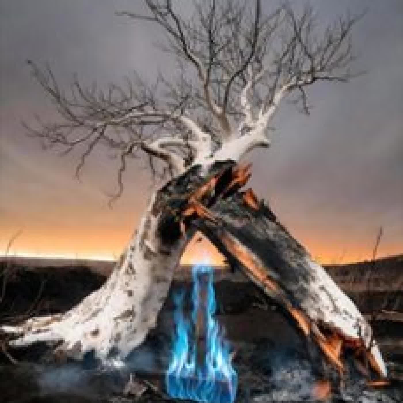 KINGDOM OF ASHES J.W. MOORE