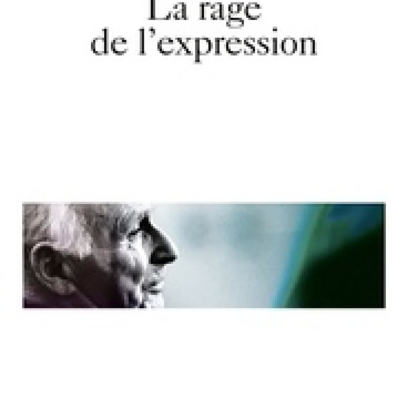Télécharger Pdf La rage de l'expression