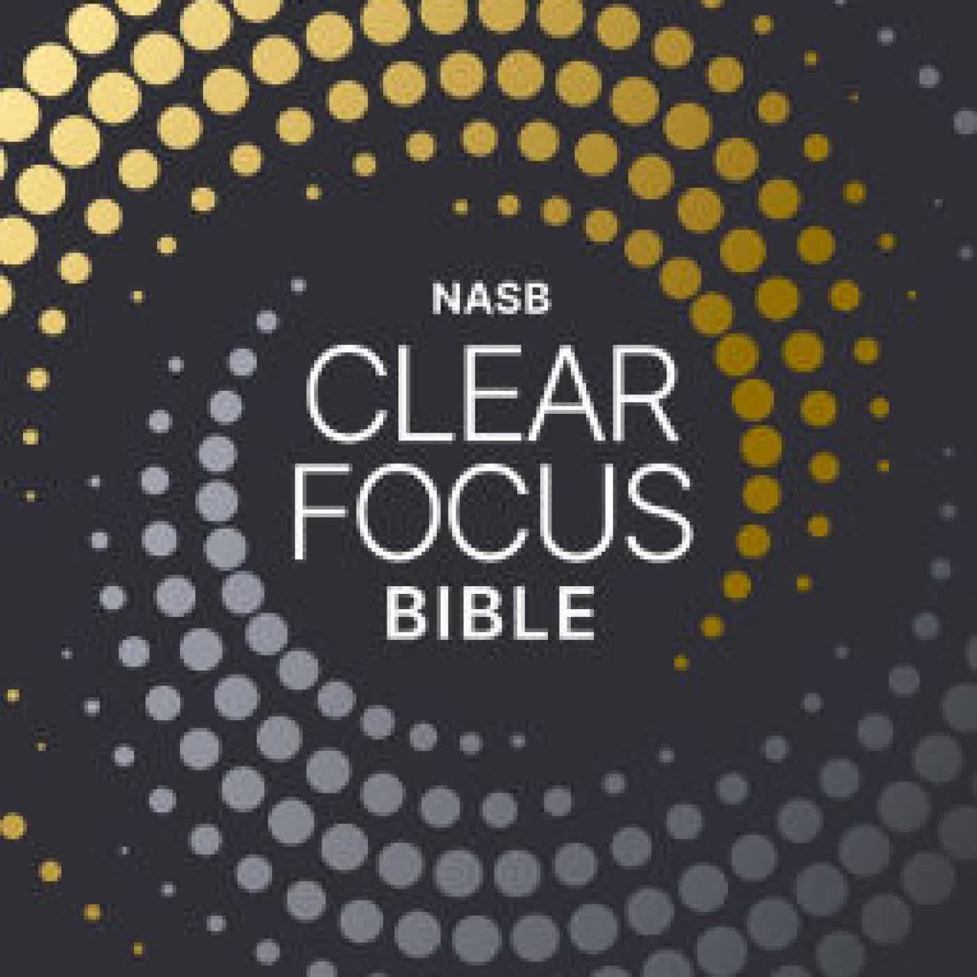 Read online: NASB, Clear Focus Bible: Read more of the Bible with better focus by Zondervan