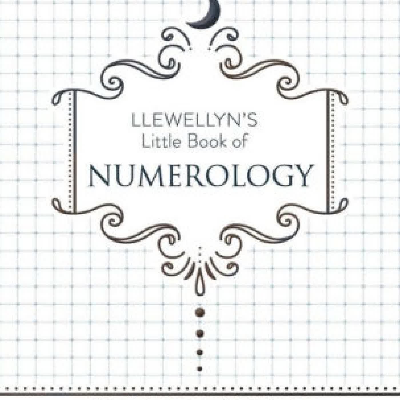 Llewellyn's Little Book of Numerology by Richard Webster on Iphone New Format