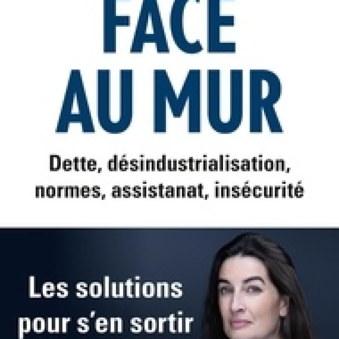 {téléchargement} Face au mur - Dette, désindustrialisation, normes, assistanat, insécurité. Les solutions pour s'en sortir