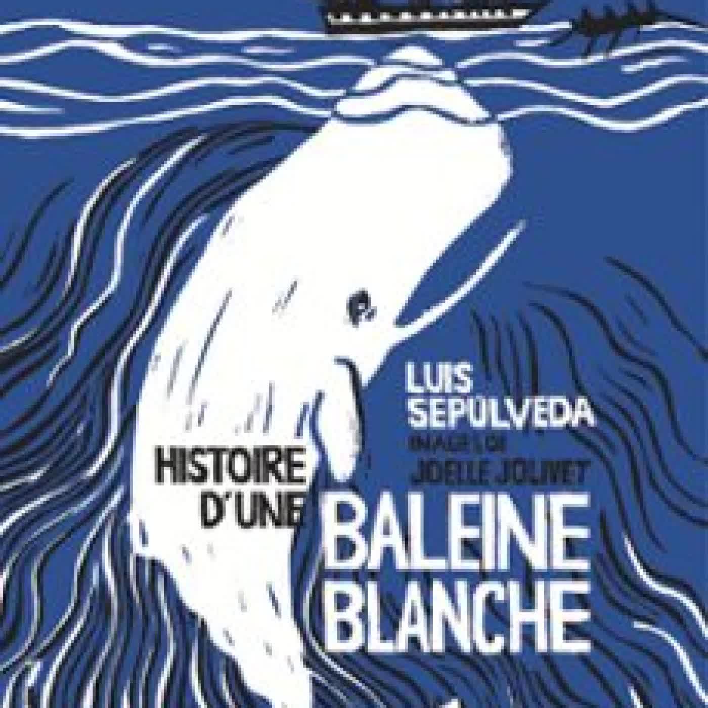 HISTOIRE D'UNE BALEINE BLANCHE Luis Sepúlveda