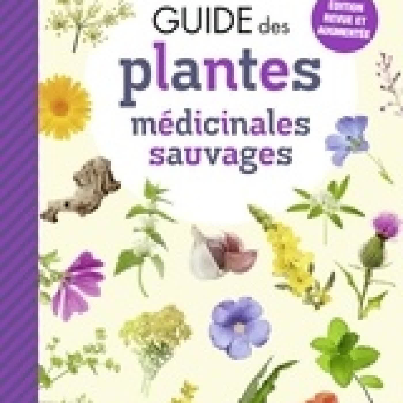Télécharger Pdf Guide des plantes médicinales sauvages