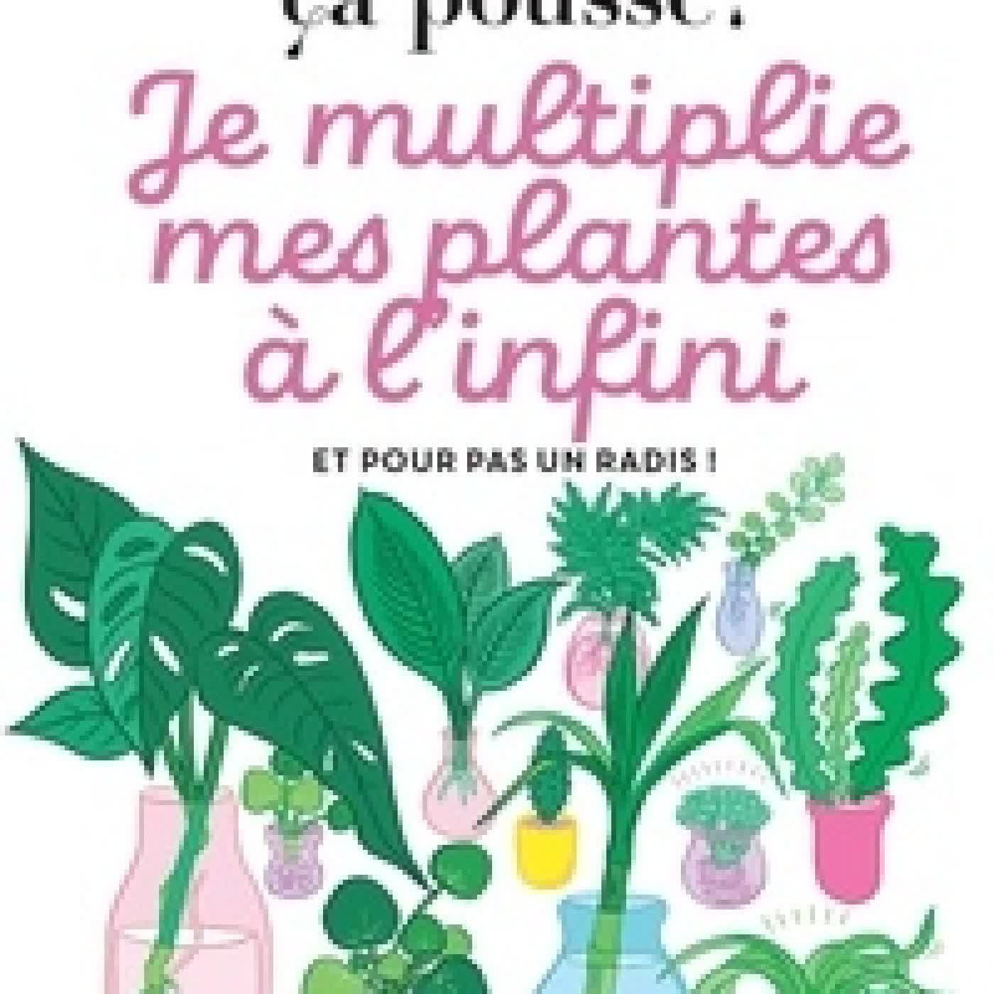 {téléchargement} Je multiplie mes plantes à l'infini. Et pour pas un radis !