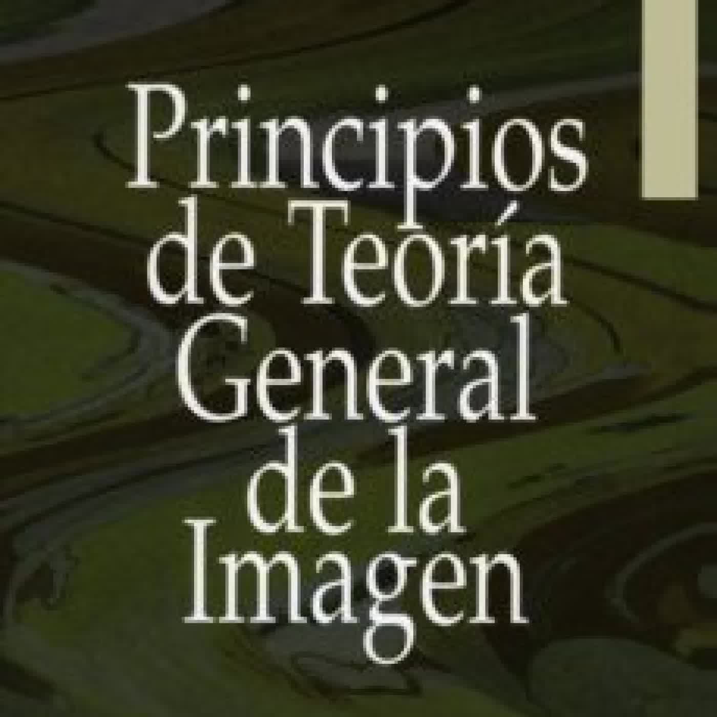 PRINCIPIOS DE TEORÍA GENERAL DE LA IMAGEN Justo Villafañe, NORBERTO MINGUEZ ARRANZ