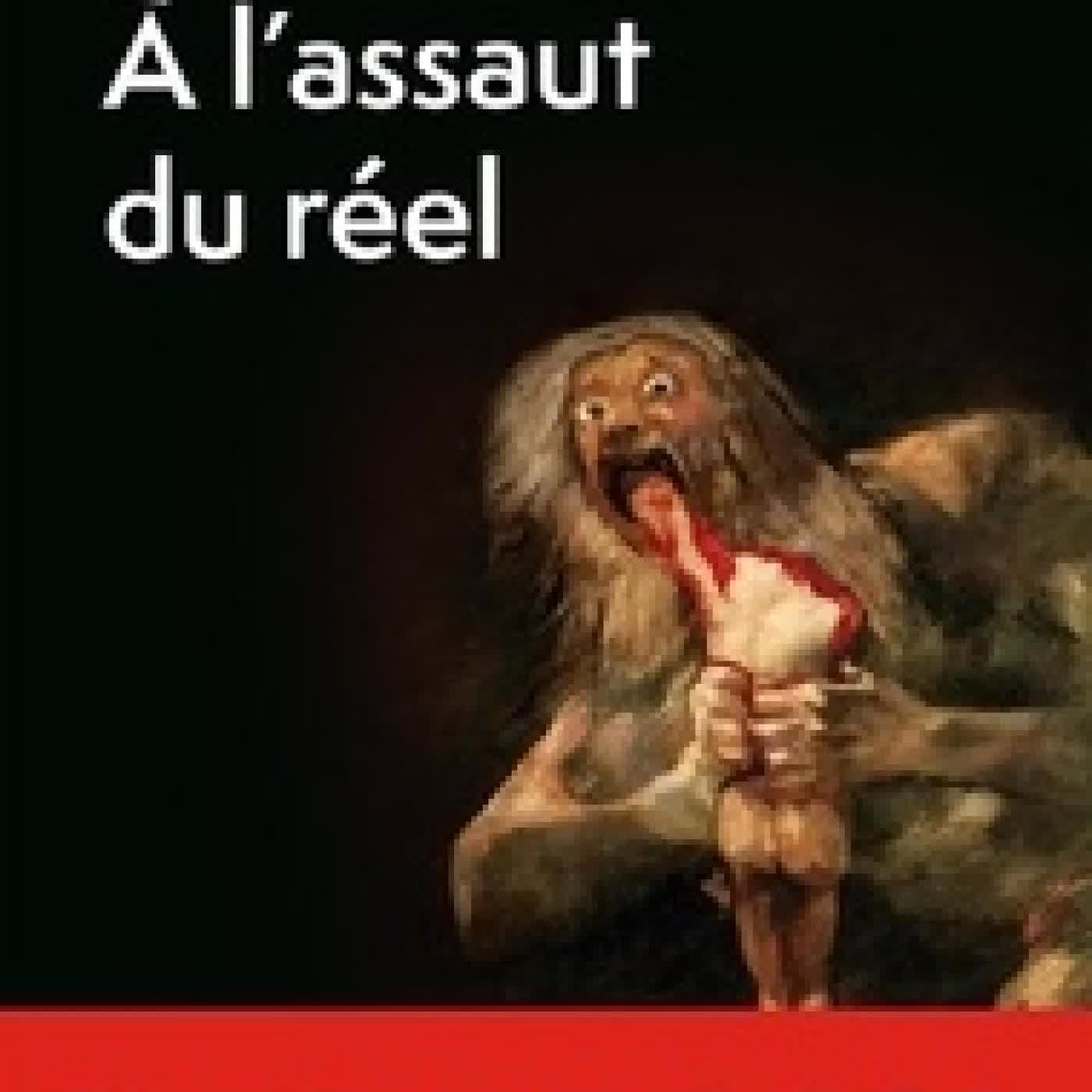 Télécharger Pdf A l'assaut du réel