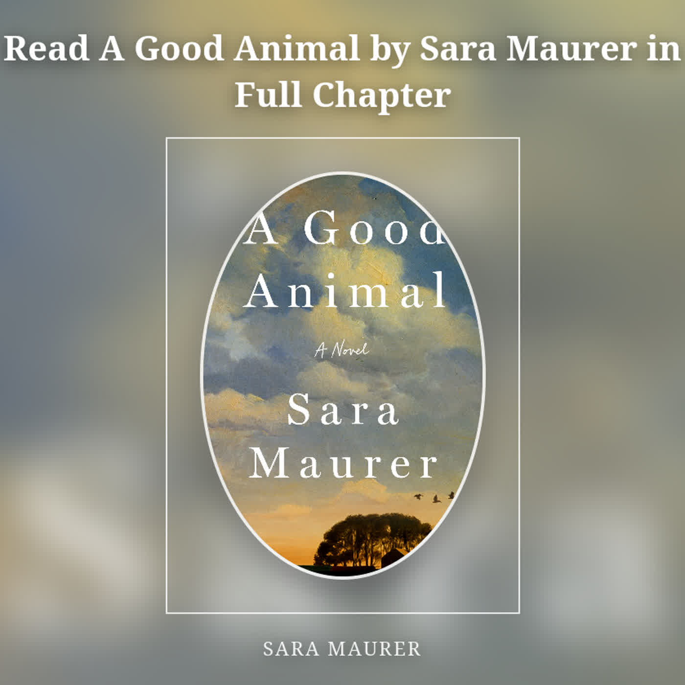 Read A Good Animal by Sara Maurer in Full Chapter episode artwork