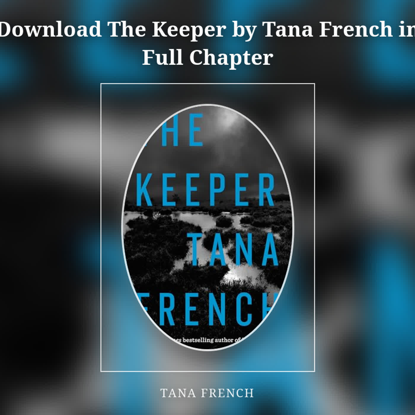 Download The Keeper by Tana French in Full Chapter episode artwork