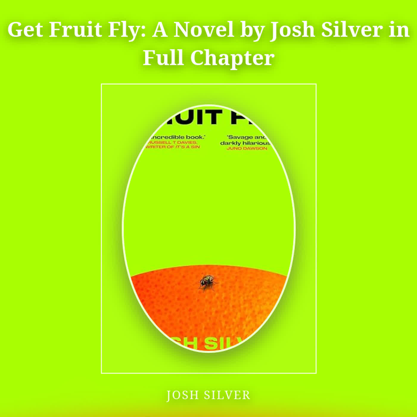Get Fruit Fly: A Novel by Josh  Silver in Full Chapter episode artwork