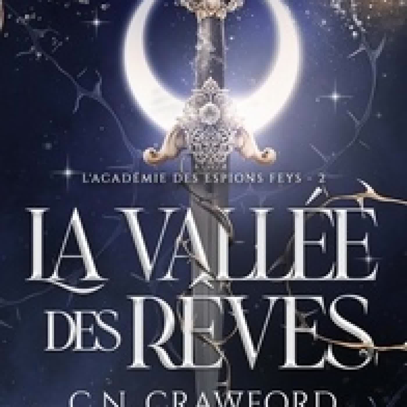 {téléchargement} L'Académie des Espions Feys Tome 2La vallée des rêves - Edition de luxe