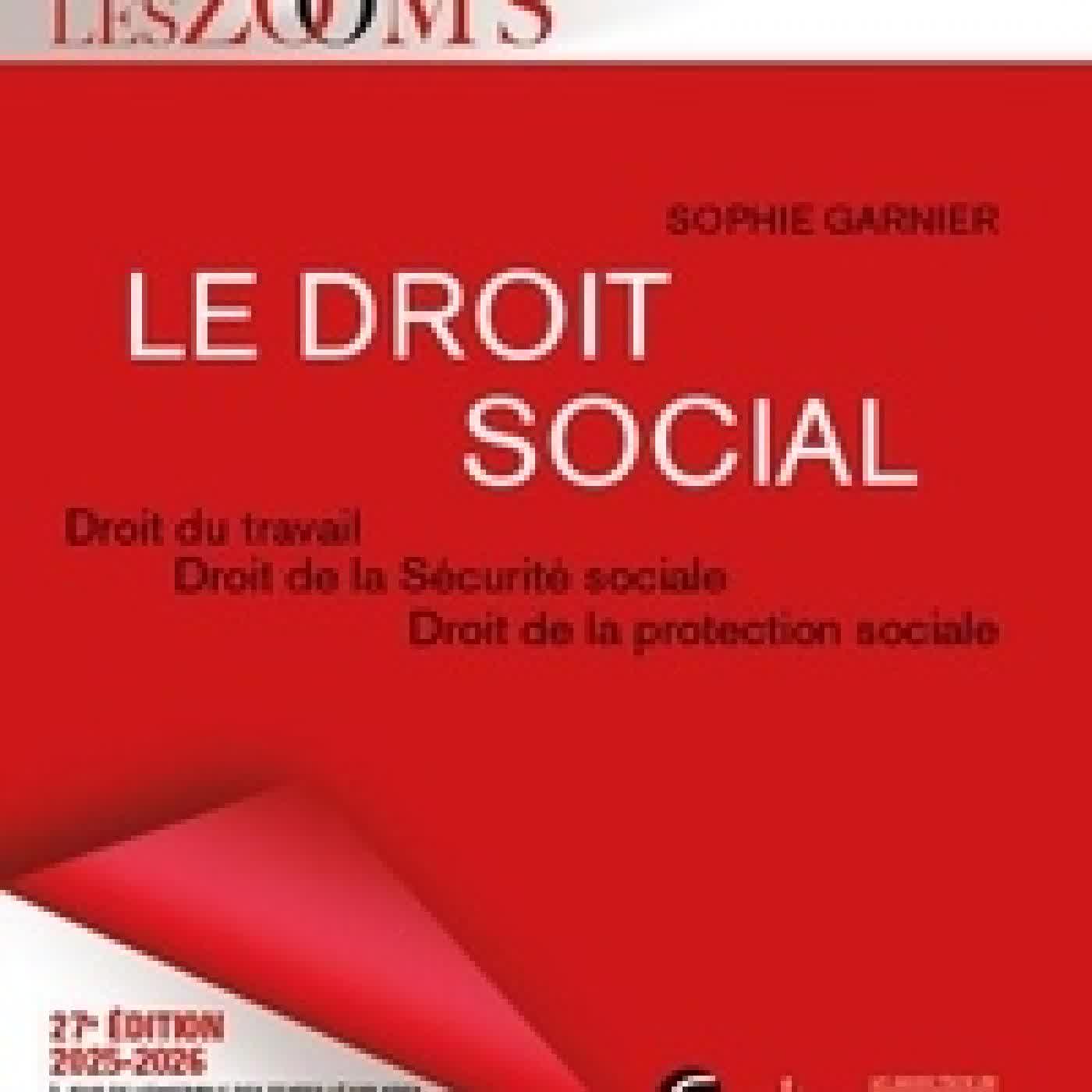 Télécharger Pdf Le droit social. Droit du travail, droit de la sécurité sociale, droit de la protection sociale Edition 2025-2026