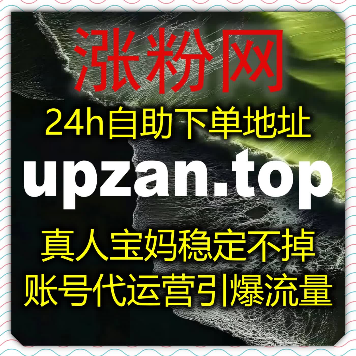 太平洋号文章阅读结合水滴汽车文章视频阅读，凭稳定流量提升霸屏行业资讯 episode artwork