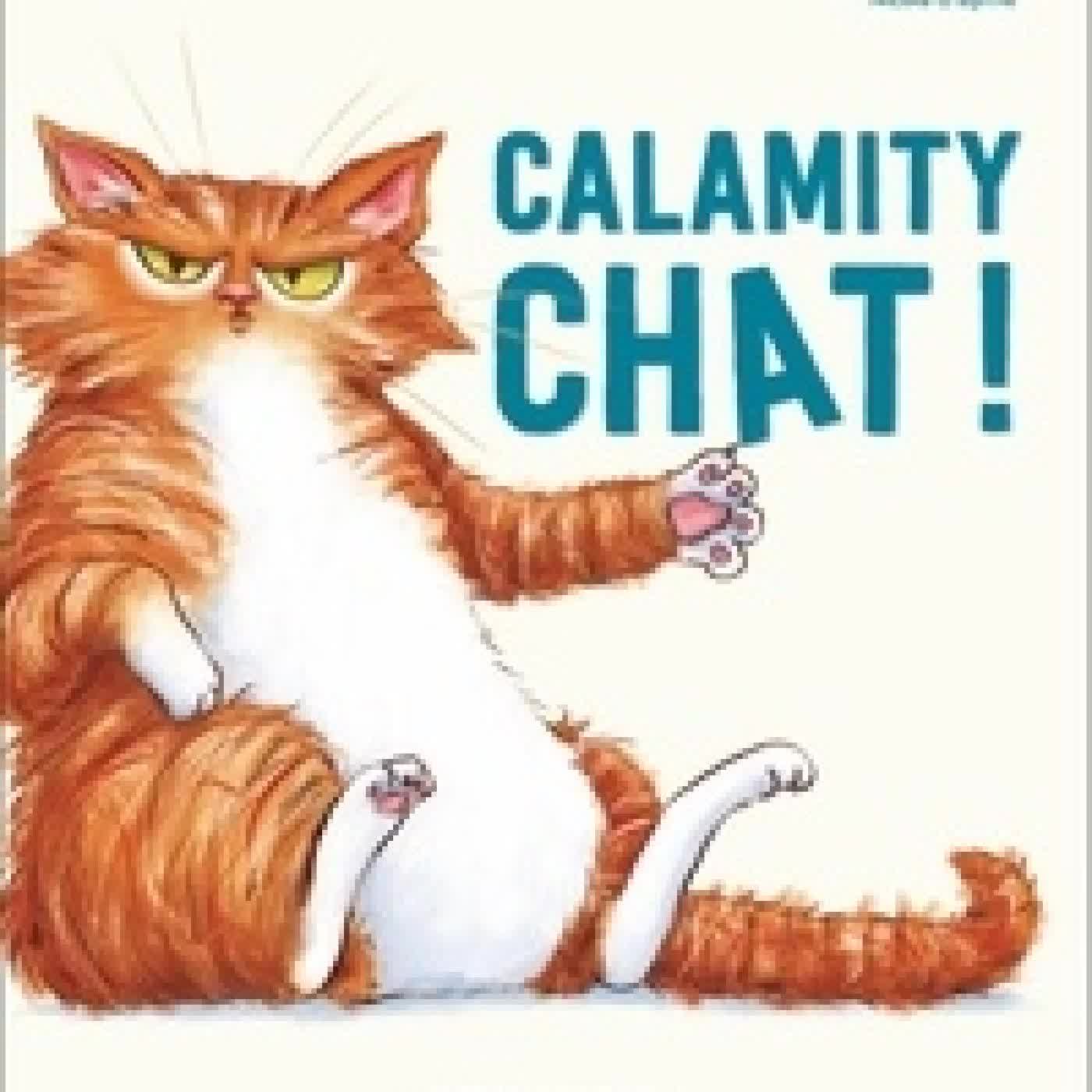 Télécharger Pdf Calamity chat !