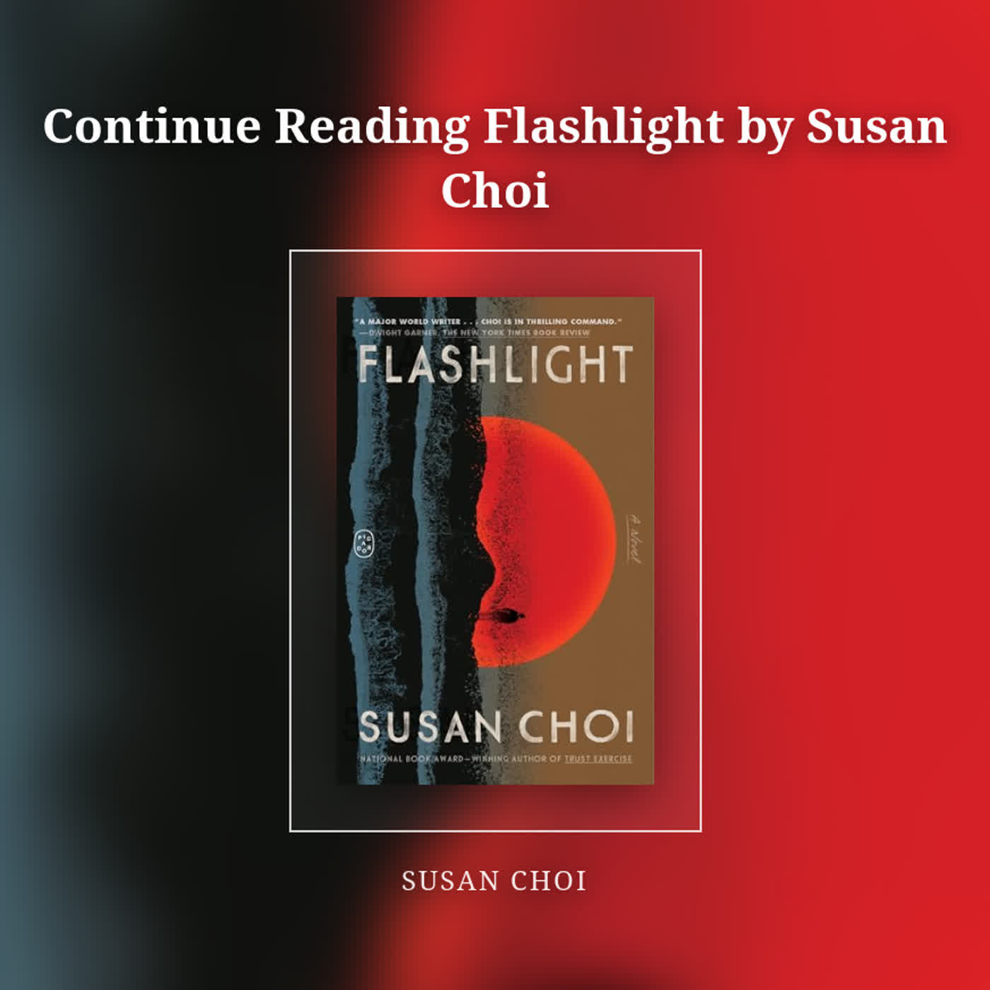 Continue Reading Flashlight by Susan Choi episode artwork