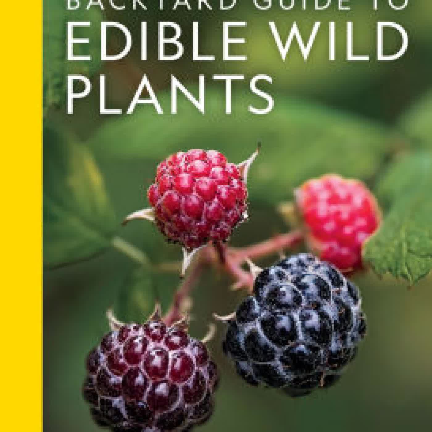National Geographic Backyard Guide to Edible Wild Plants by Mimi Prunella Hernandez, Heather Wood Buzzard on Iphone New Format