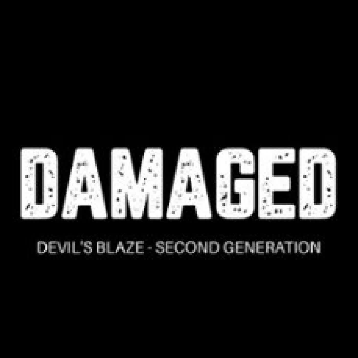 DAMAGED JORDAN MARIE