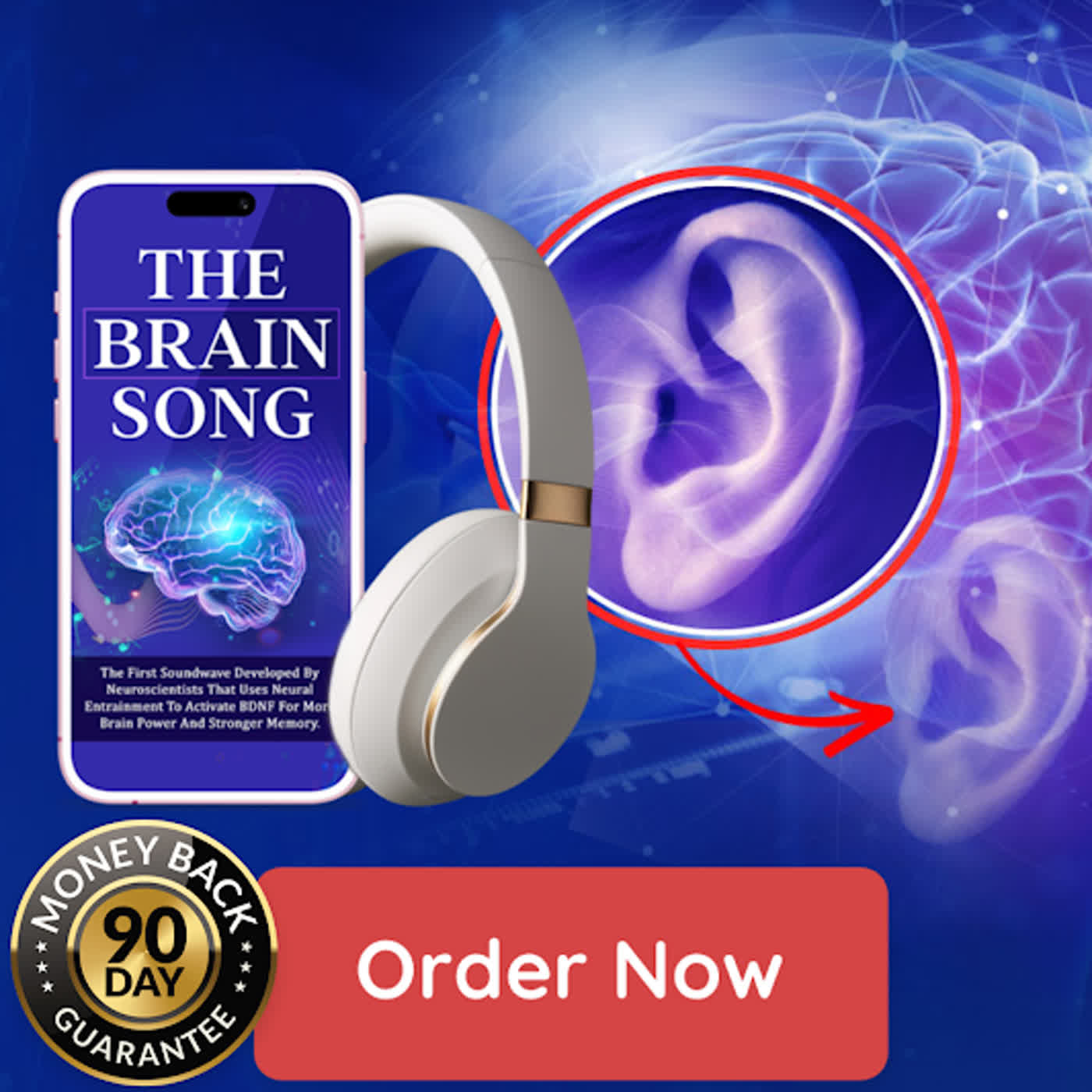 The Brain Song Guide to Understanding Memory and Thinking Skills