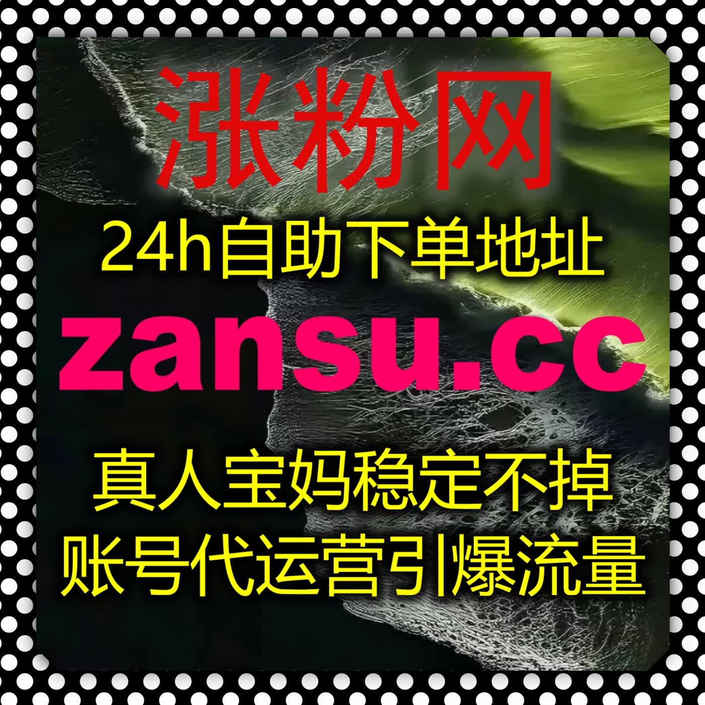 本地生活探店账号运营 搭配在线全自动下单服务 高效撬动区域流量 episode artwork
