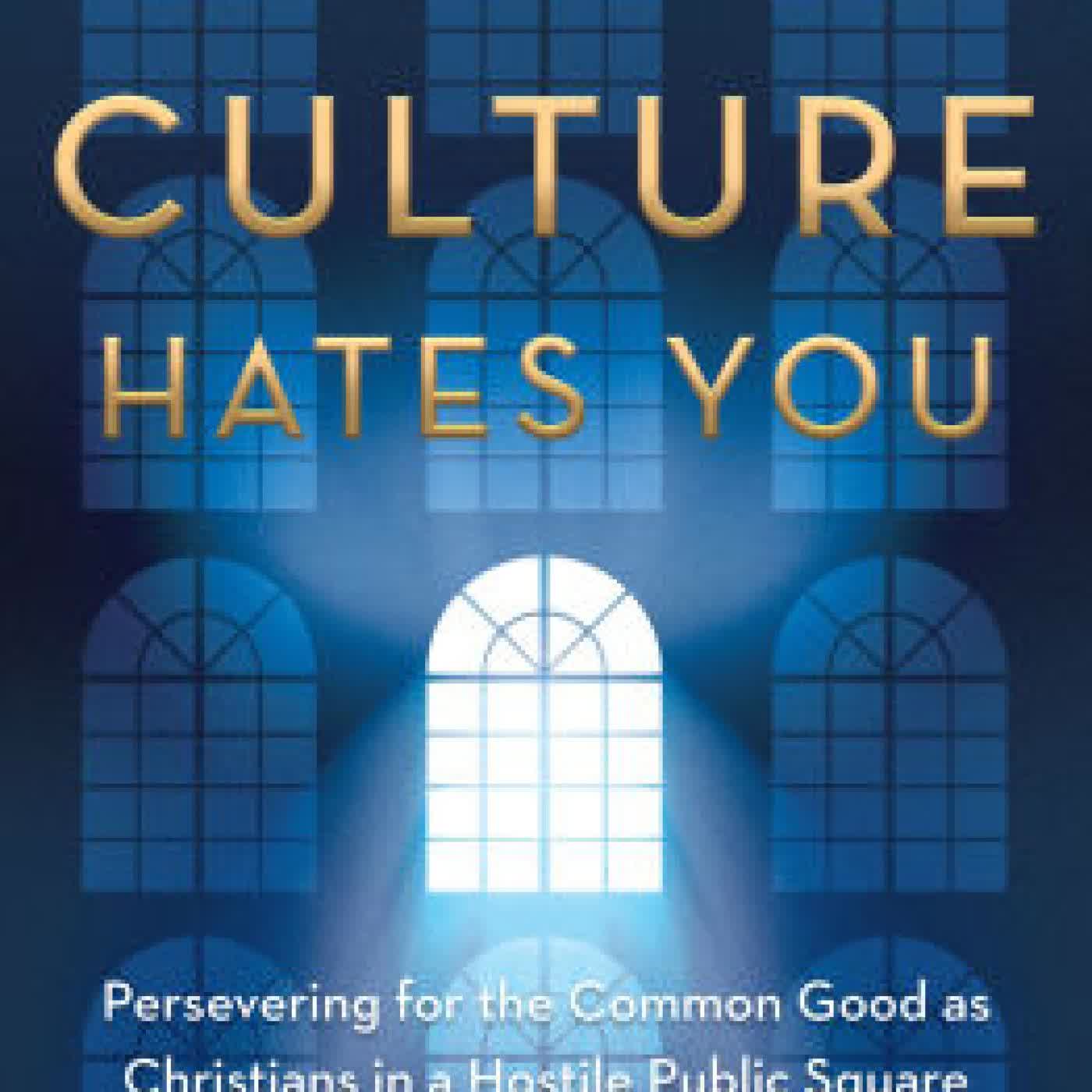 When Culture Hates You: Persevering for the Common Good as Christians in a Hostile Public Square by Natasha Crain, Frank Turek on Iphone New Format