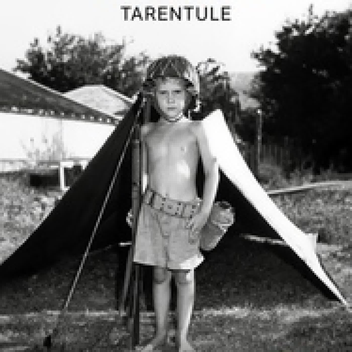 Télécharger Pdf Tarentule
