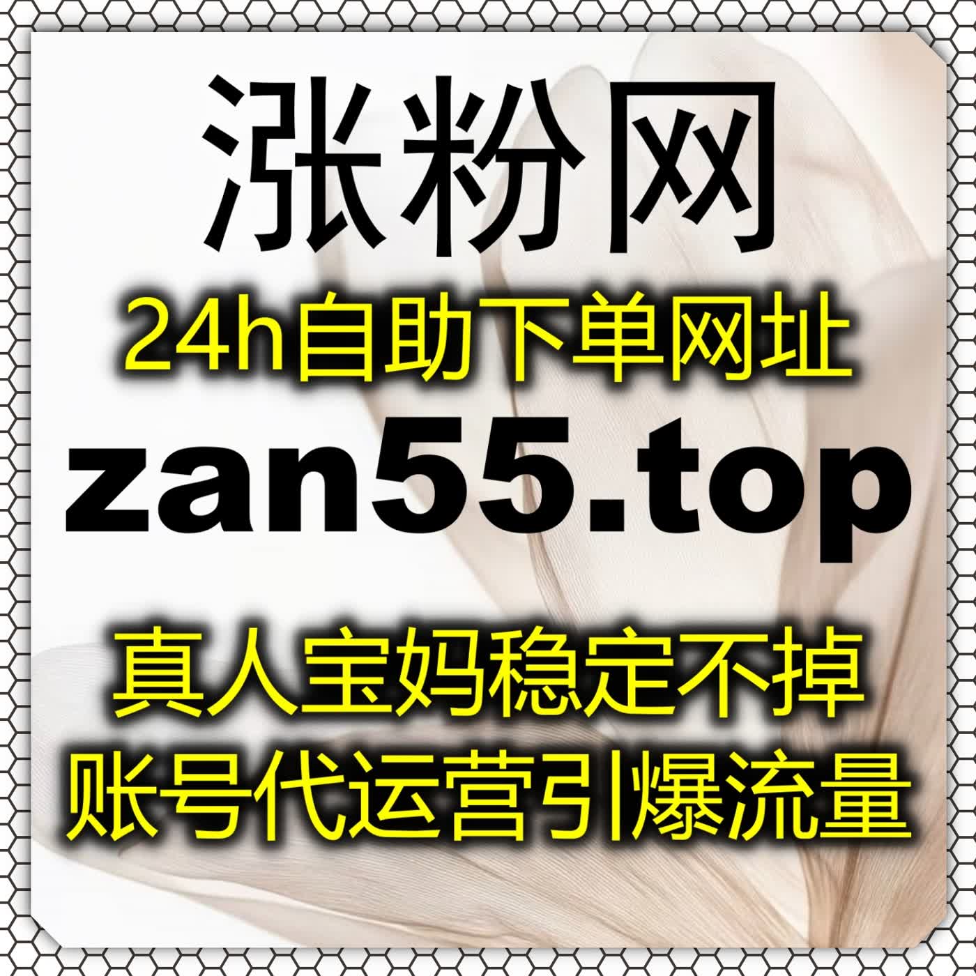 打理店铺与账号数据,依靠在线全自动下单打造优质评论与真人粉丝