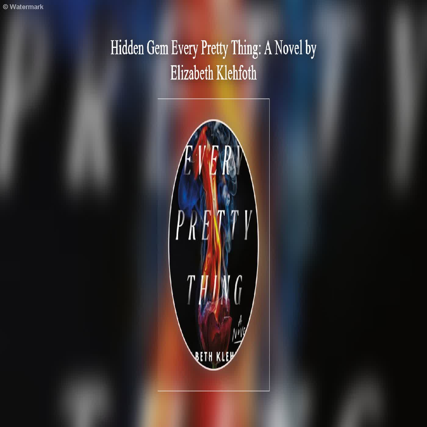  Hidden Gem Every Pretty Thing: A Novel by Elizabeth Klehfoth  episode artwork