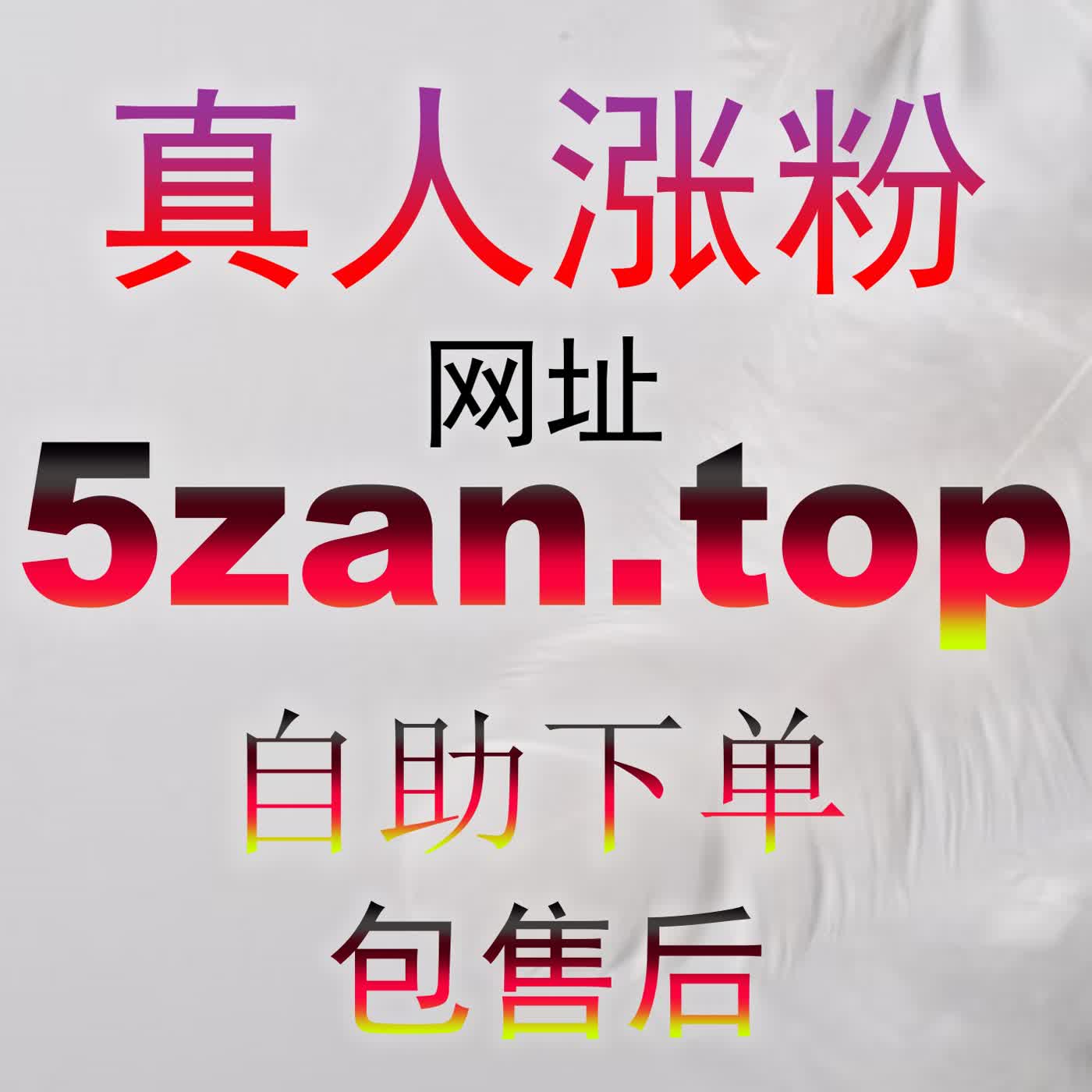 百度搜索与推荐双引擎：百家粉8zan.cc对账号权重积累与搜索前置展示的深远影响 episode artwork