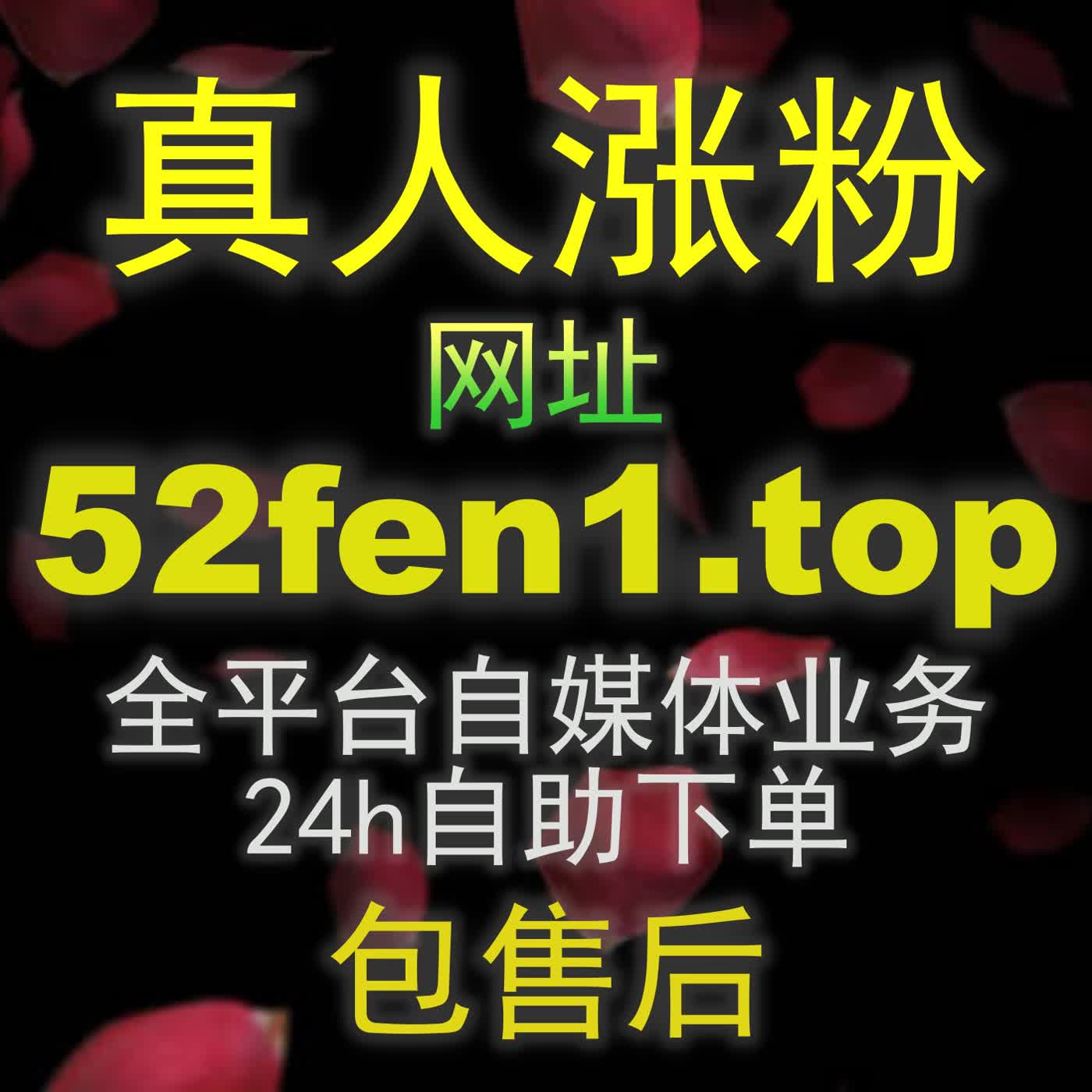 图文专栏缺少收藏量 zan9.top 只要用对数据调优技巧就能让你的优质作品迅速起飞 episode artwork