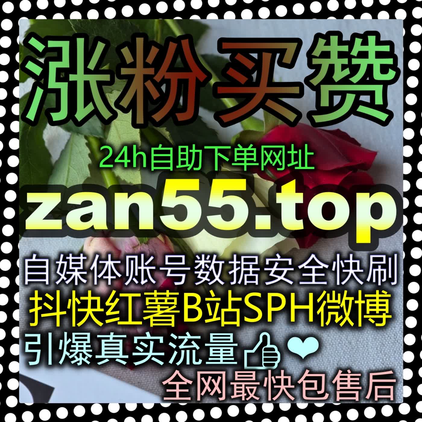 开启B站一键三联爆款秘籍zan5.cc手把手教你激活高权重推流与全网爆火 episode artwork