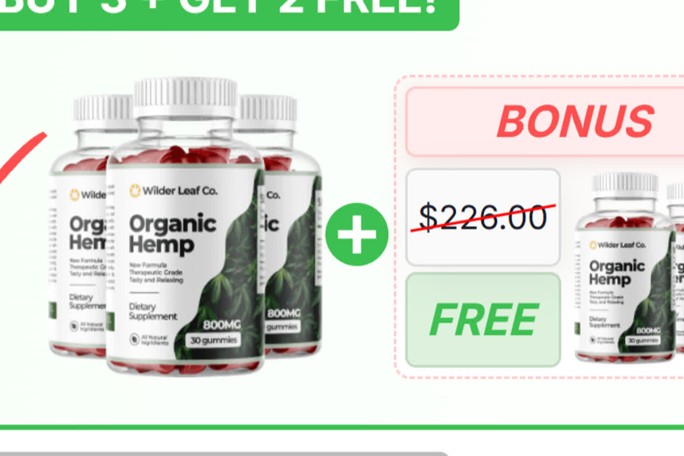 wilderleaforganichempbuy.firstory.io