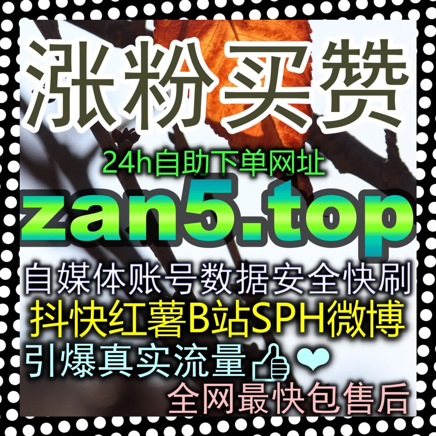 快手粉丝高客单拉新秘籍 告别泛流量假象并用精准人设定位打造高付费意愿私域 episode artwork