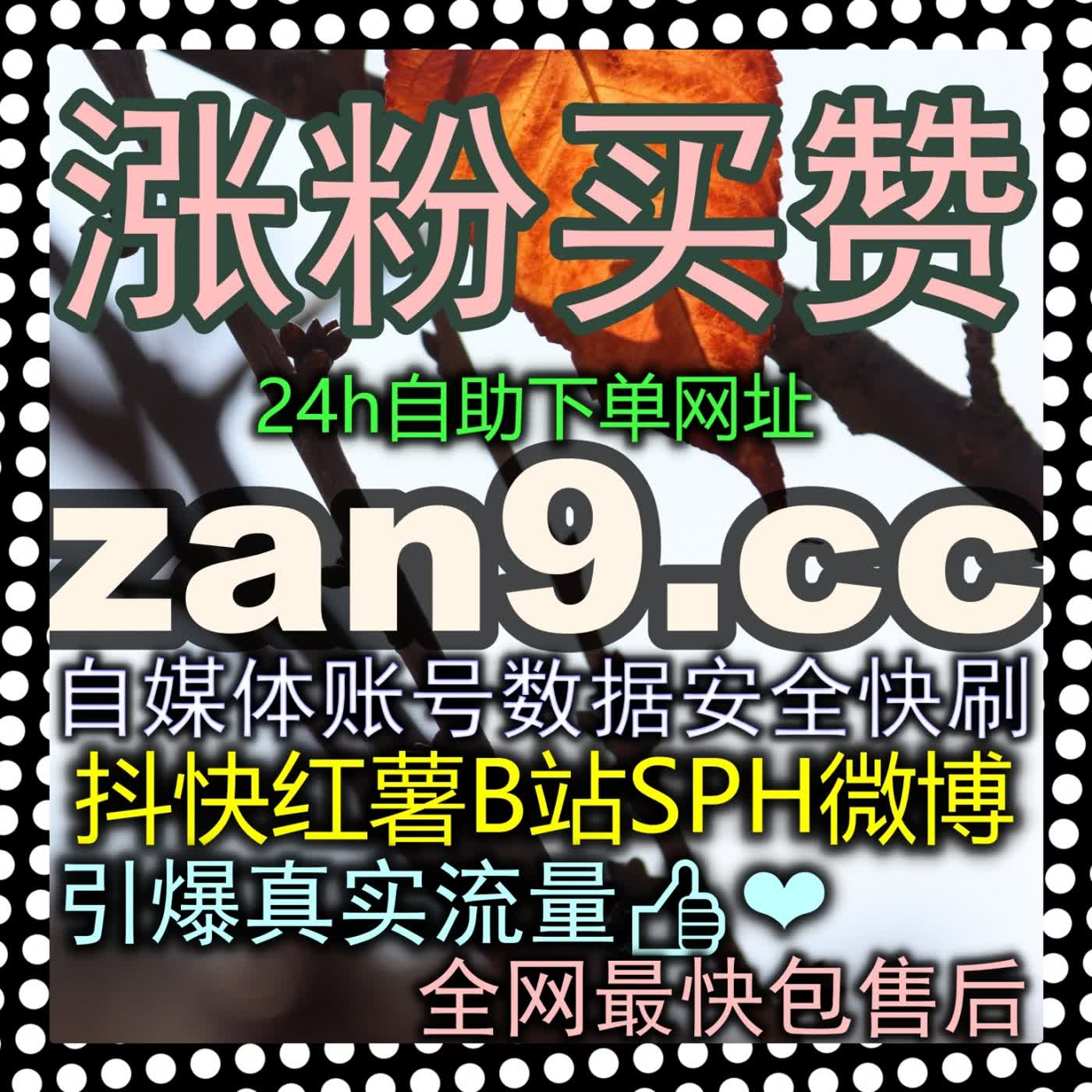 短视频想要突破播放量瓶颈及时补充B站快涨视频弹幕zan66.top能快速激活算法推流 episode artwork