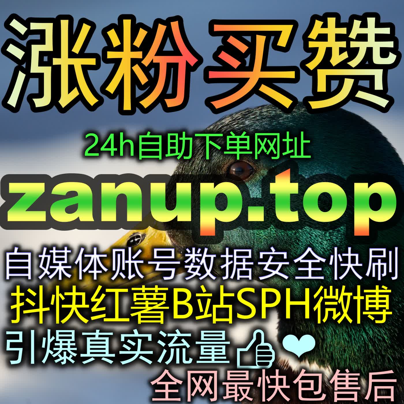 Artwork for B站直播看过搞定算法机制就这么简单教你利用数据提效全面激活热门推荐
