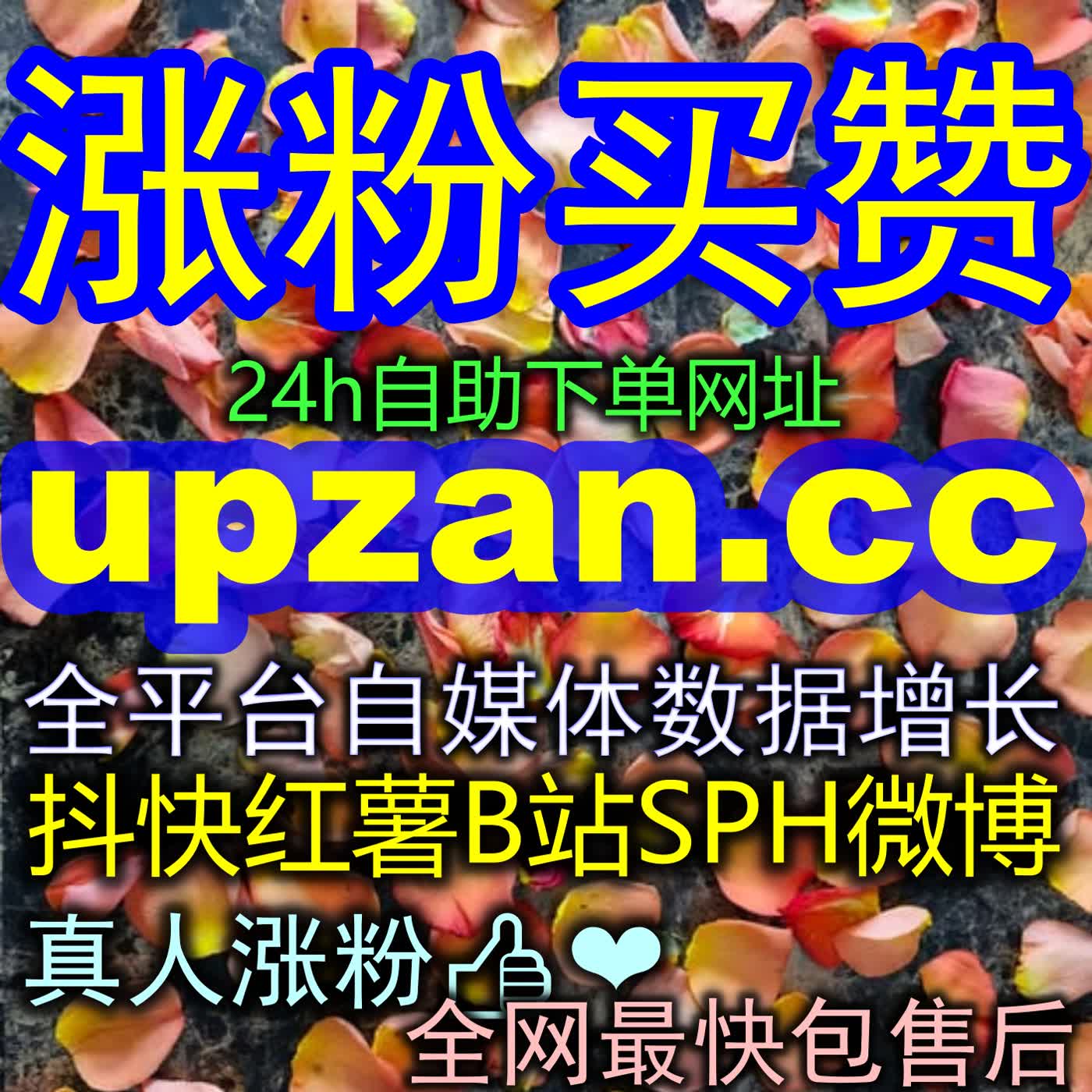 资讯长尾流量爆发密码解析：头条阅读量倍增策略与读者需求深度匹配 episode artwork