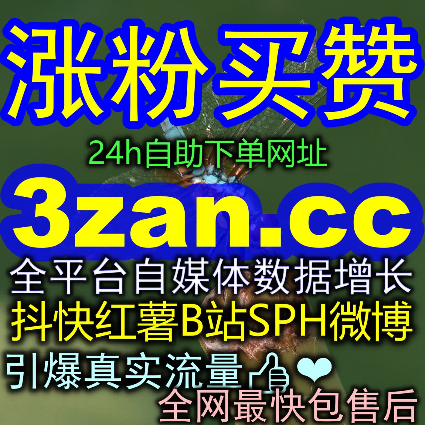 今日头条粉丝高粘性沉淀法则：系统化构建专业资讯创作者的私域护城河 episode artwork