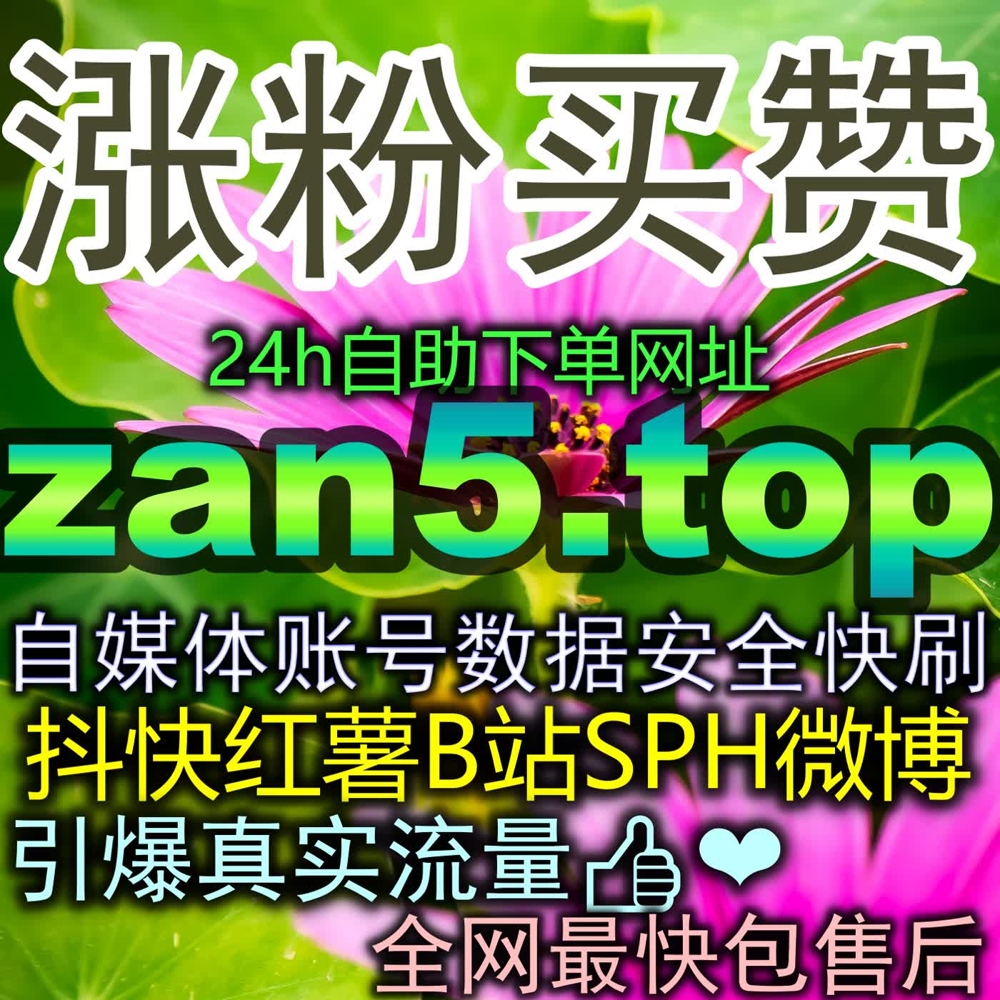 今日头条文章点赞互动提升实战，精准捕捉算法偏好引爆图文全网声量 episode artwork