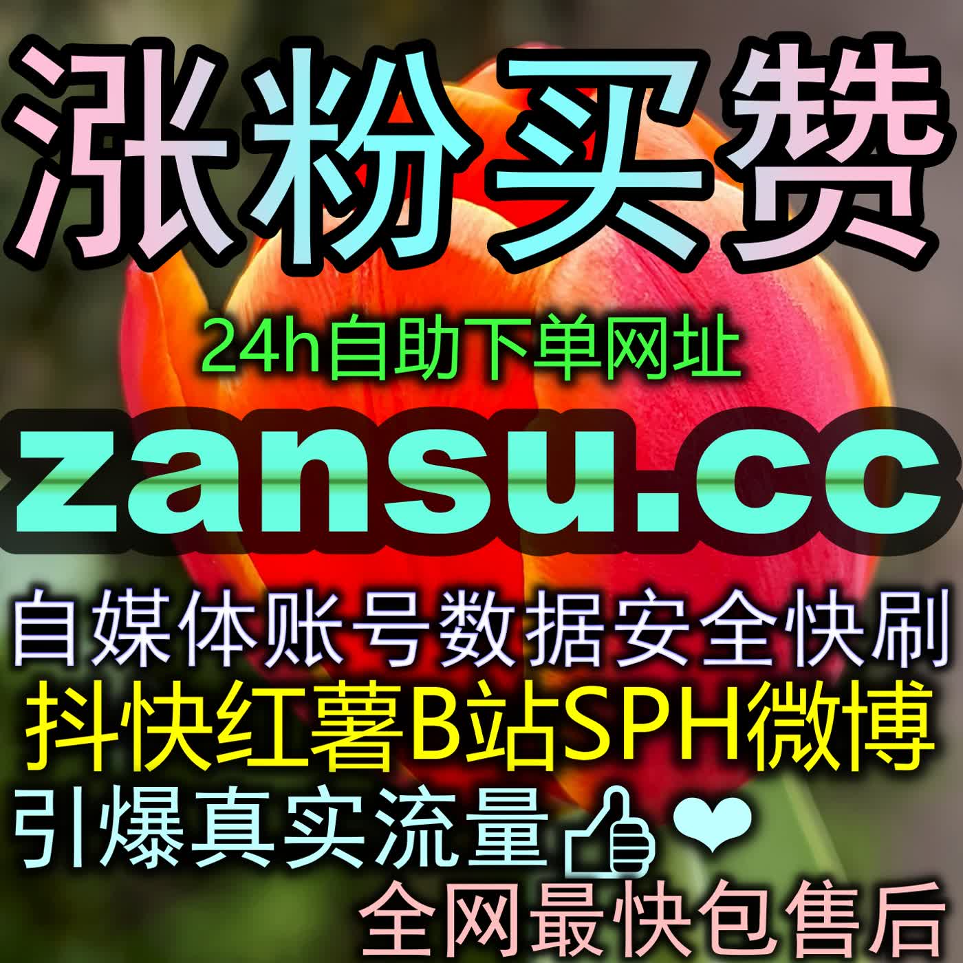 主流长视频播放量筑底：公信力与热度双重叠加的流量爆发模型 episode artwork
