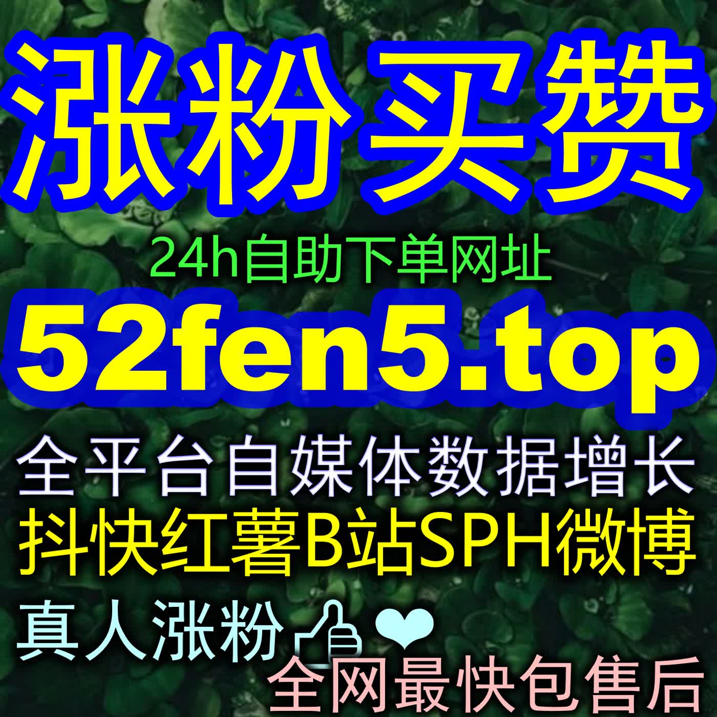 B站知识商业化加速港 24bili.cc 助力科技读书类UP主深度变现，盘活内容价值 episode artwork
