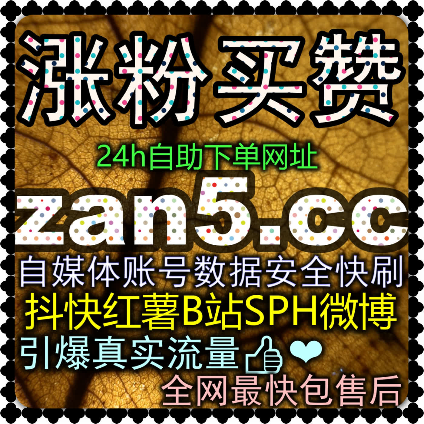 抖音直播包天与包场人气极速爆盘 入口地址 daihuo8.cc 抖音直播娱乐上榜人气与带货上榜人气